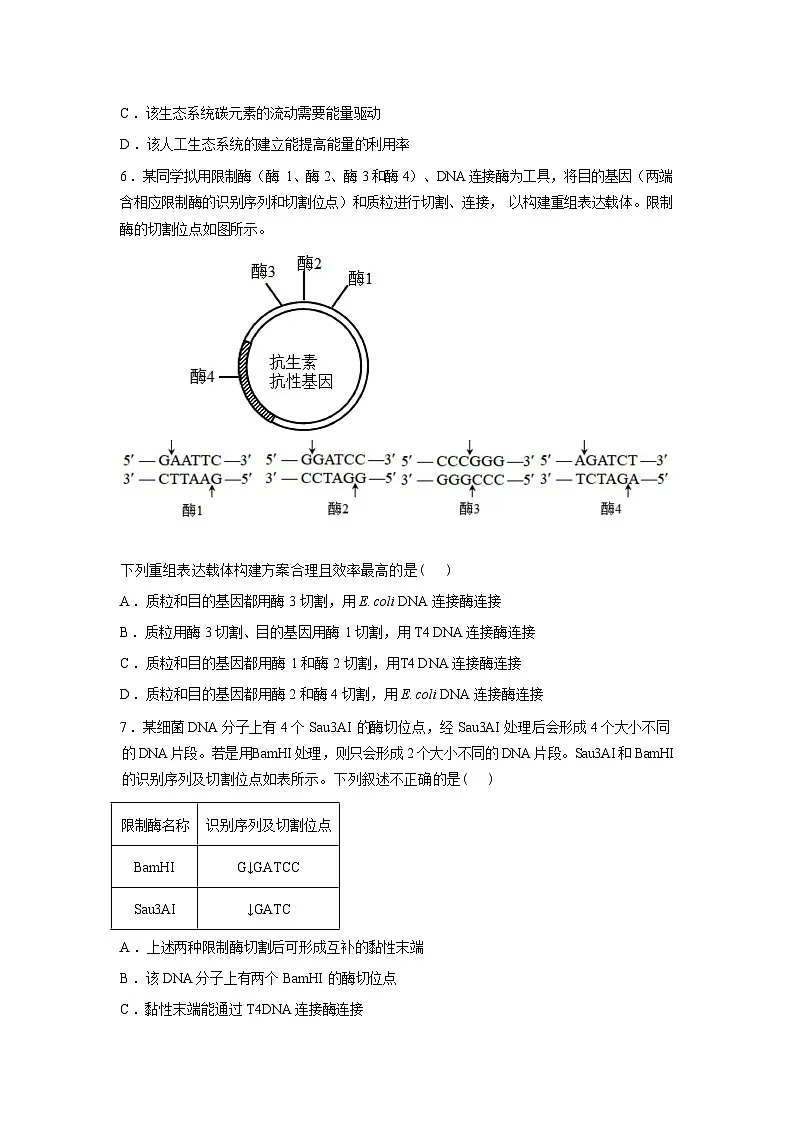 湖南邵阳市第二中学2025-2026学年高二下学期开学考试生物试题含答案第3页