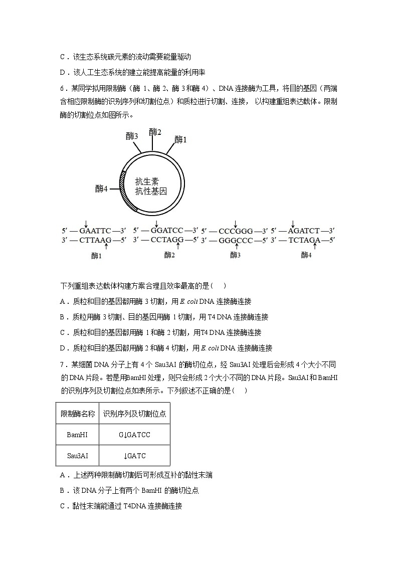 湖南邵阳市第二中学2025-2026学年高二下学期开学考试生物试题含答案第3页