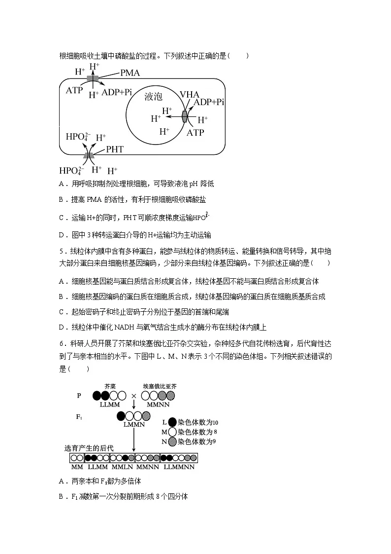 湖南长沙市开福区湖南省长沙市第一中学2025-2026学年高三下学期开学考试生物试题含答案第2页