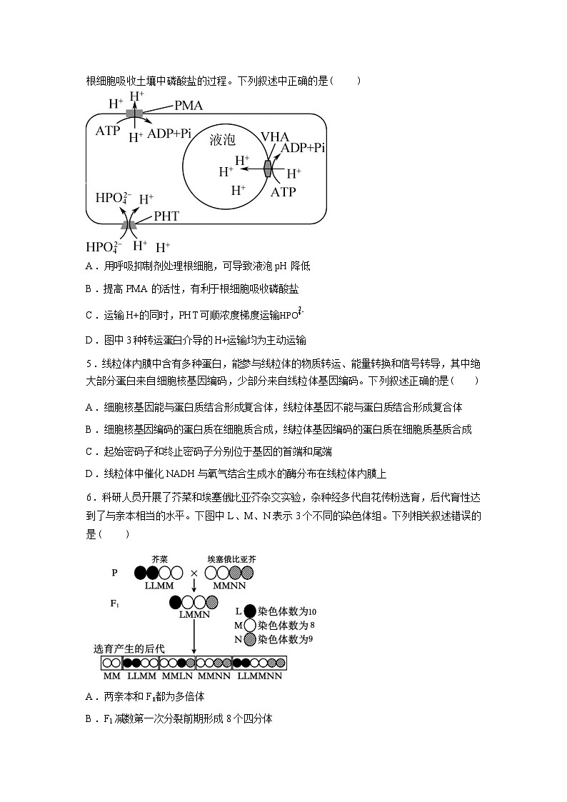 湖南长沙市开福区湖南省长沙市第一中学2025-2026学年高三下学期开学考试生物试题含答案第2页