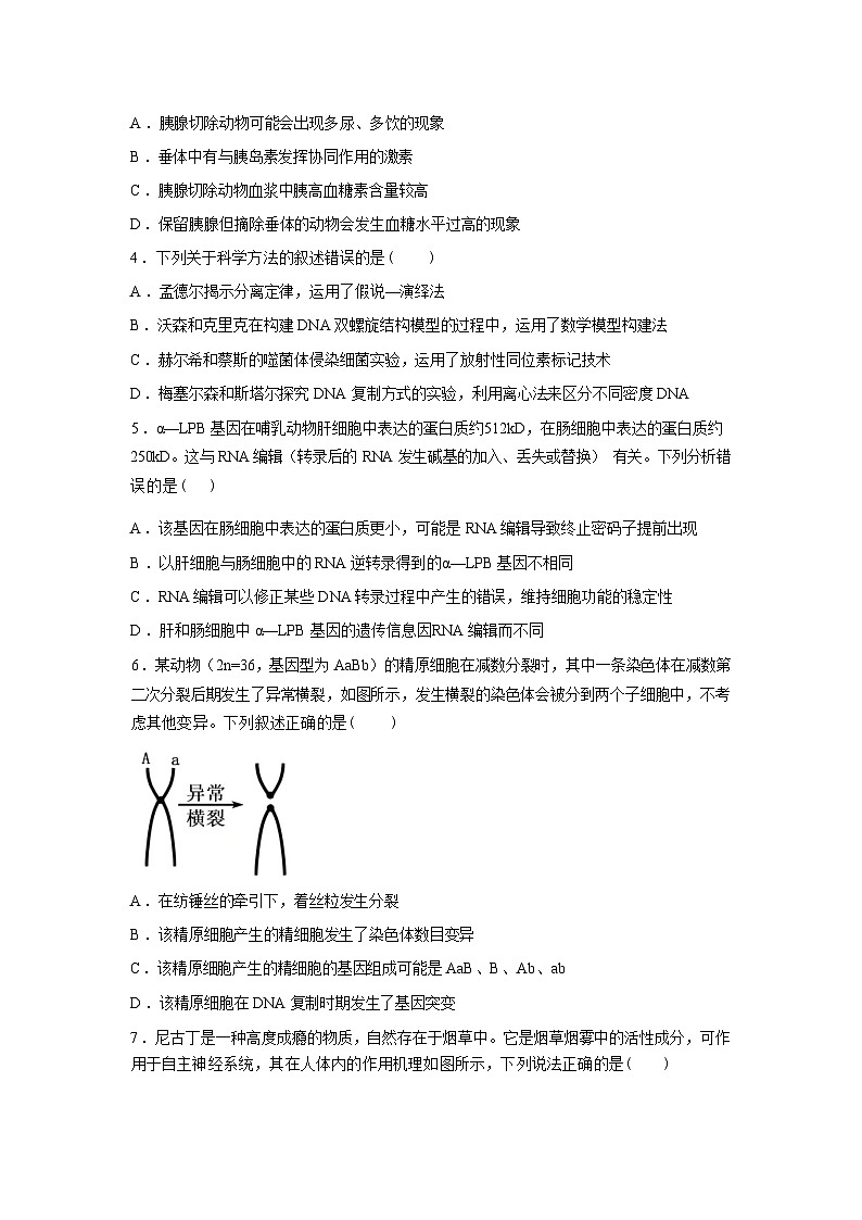 湖南长沙市湖南师大附中2025~2026学年下学期2月高三月考生物试题含答案第2页