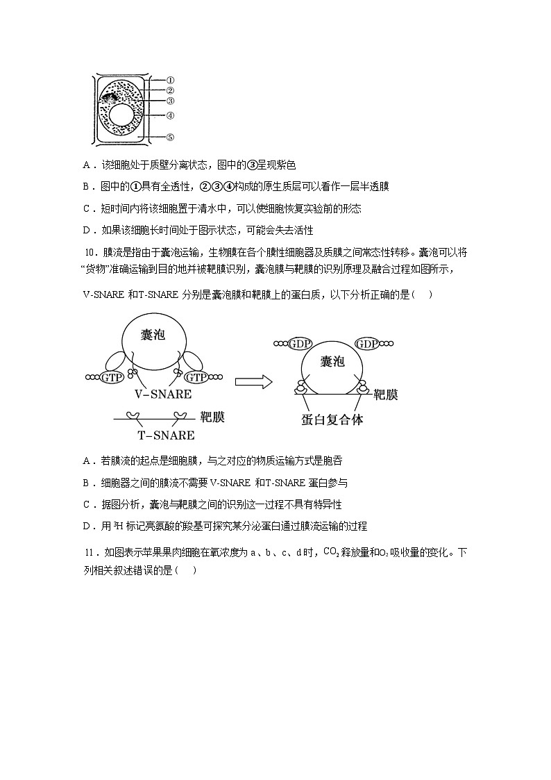 湖南长沙市长郡中学2025-2026学年高一下学期开学考试生物试题含答案第3页