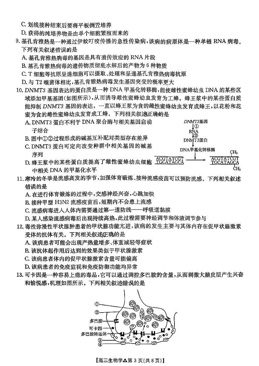 2026年金太阳高三下学期3月生物试题无答案第3页