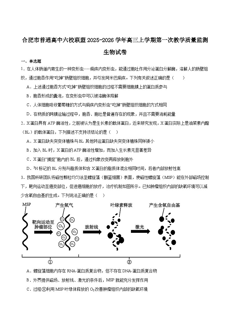 安徽省合肥市普通高中六校联盟2026届高三上学期第一次教学质量监测试题 生物 Word版含答案第1页