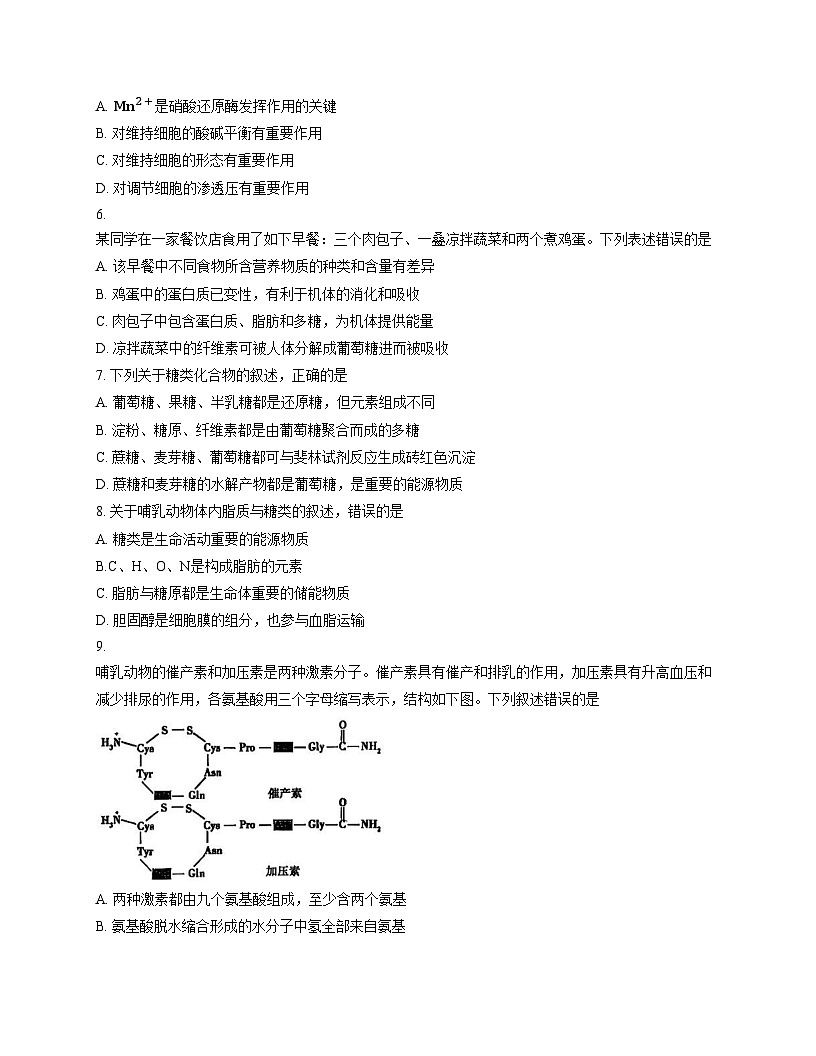 北京市第四中学2025_2026学年高一上学期期中生物试题（文字版，含答案）第2页