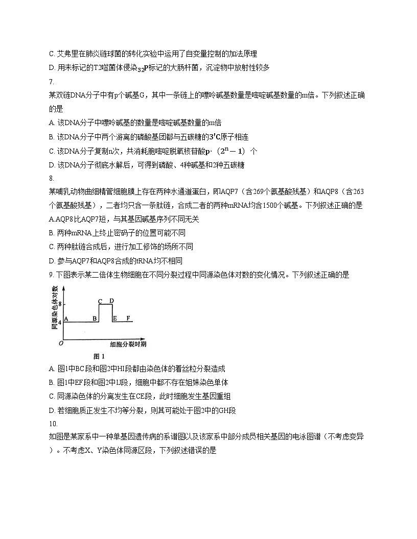 甘肃省张掖市民乐县第一中学2025_2026学年高三上学期第二次诊断考试生物试卷（文字版，含答案）第3页