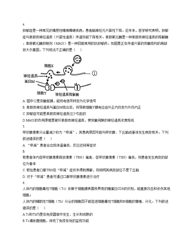 天津市河东区2025_2026学年高二上学期期中考试生物试卷（文字版，含答案）第2页
