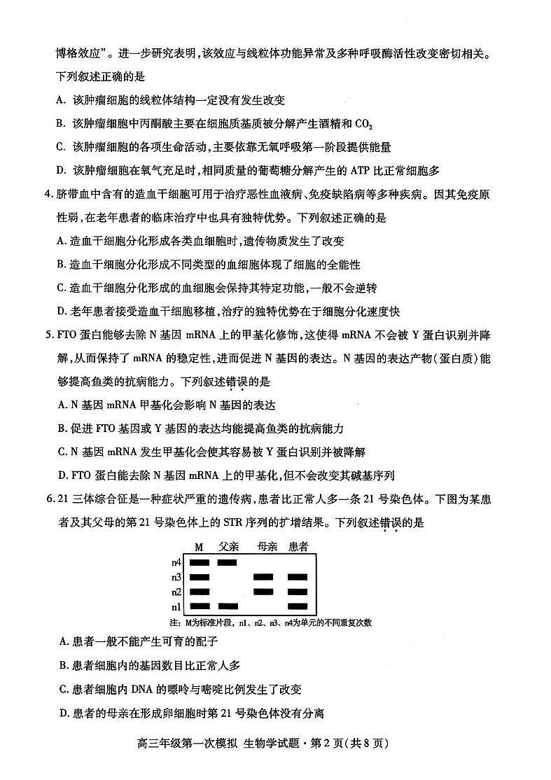 2026届甘肃省高三第一次模拟考试生物试题（含答案）含答案解析第2页