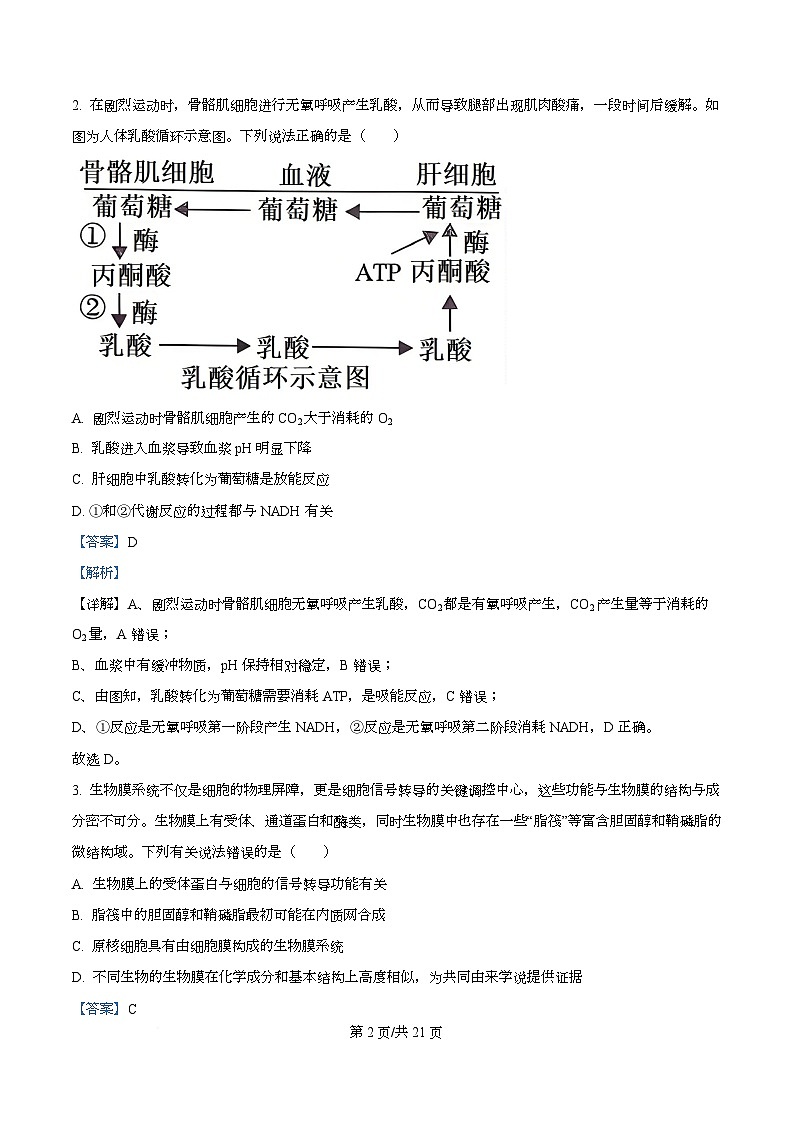 湖北省襄阳市2026届高三一模生物试题 Word版含解析第2页