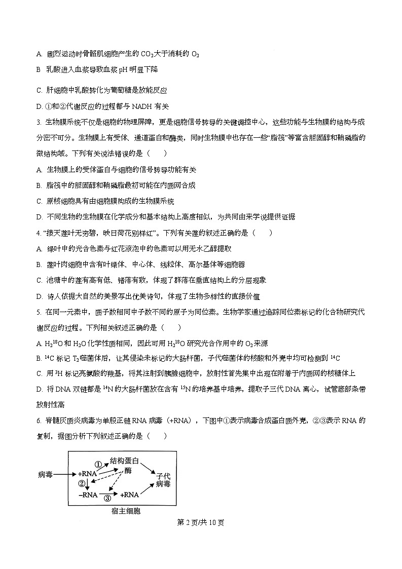 湖北省襄阳市2026届高三一模生物试题（原卷版）第2页