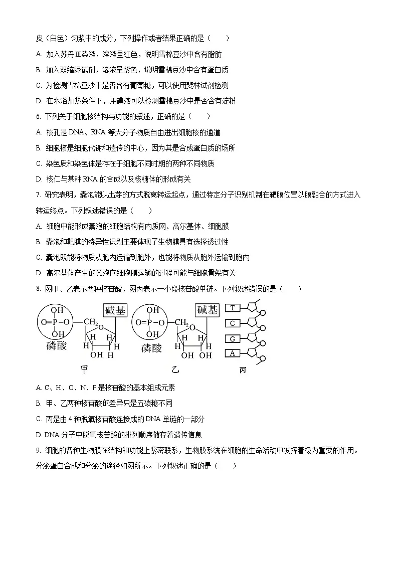 山东省济宁市2025-2026学年高一上学期诊断性练习生物试题（原卷版）第2页