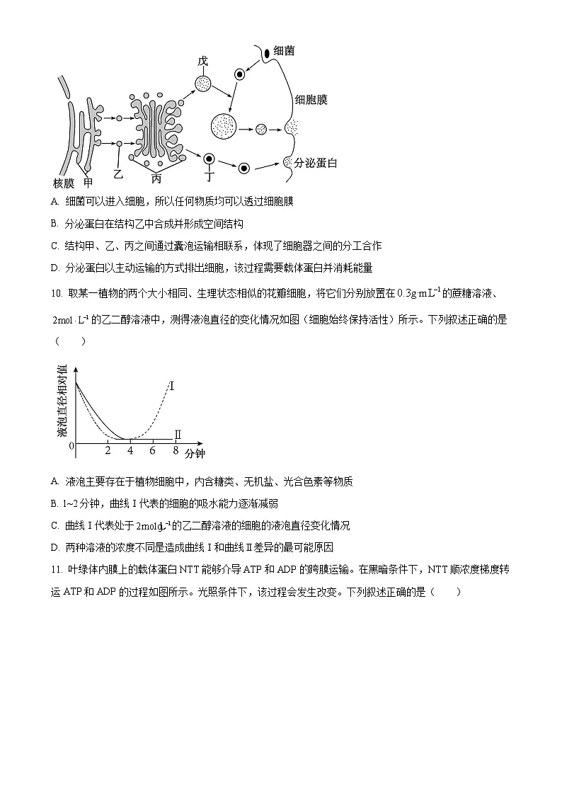 山东省济宁市2025-2026学年高一上学期诊断性练习生物试题（原卷版）第3页