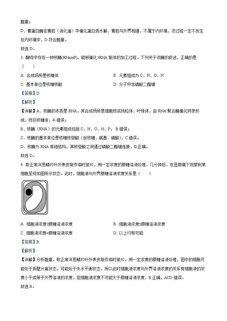 浙江省名校协作体G12联盟2025-2026学年高二下学期开学生物试题 Word版含解析第2页