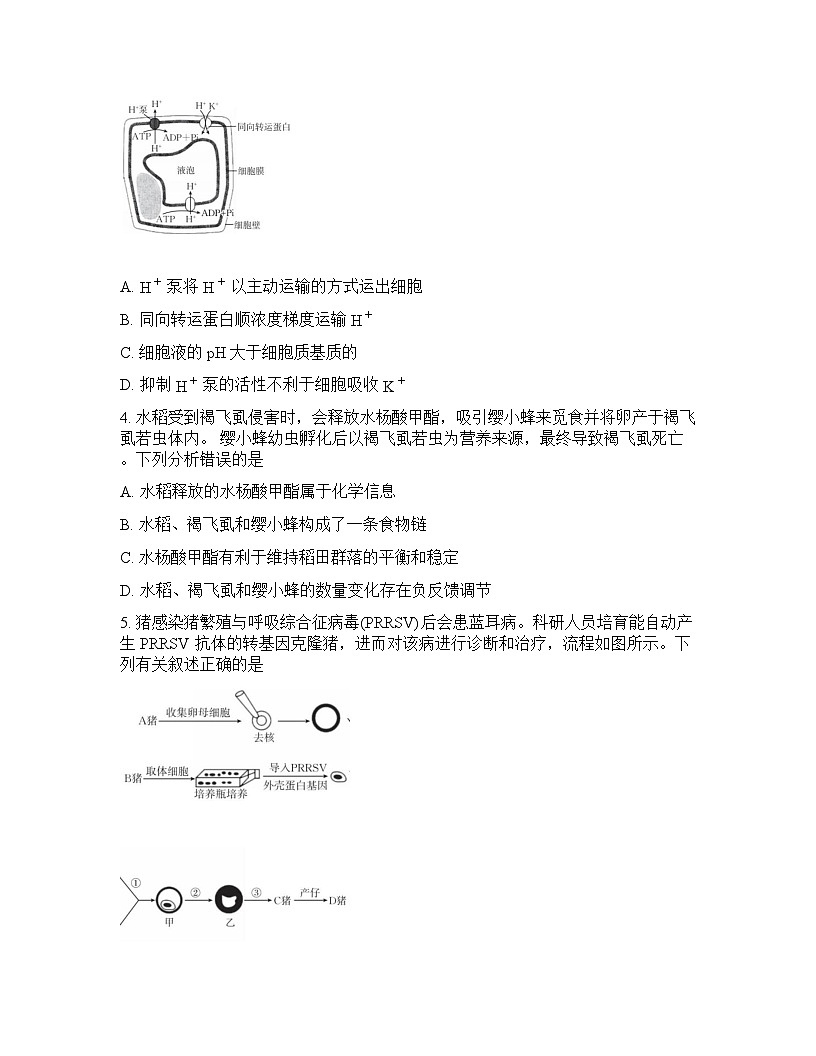 陕西省金太阳联考2025-2026学年下学期高三3月联考生物学试卷含答案第2页