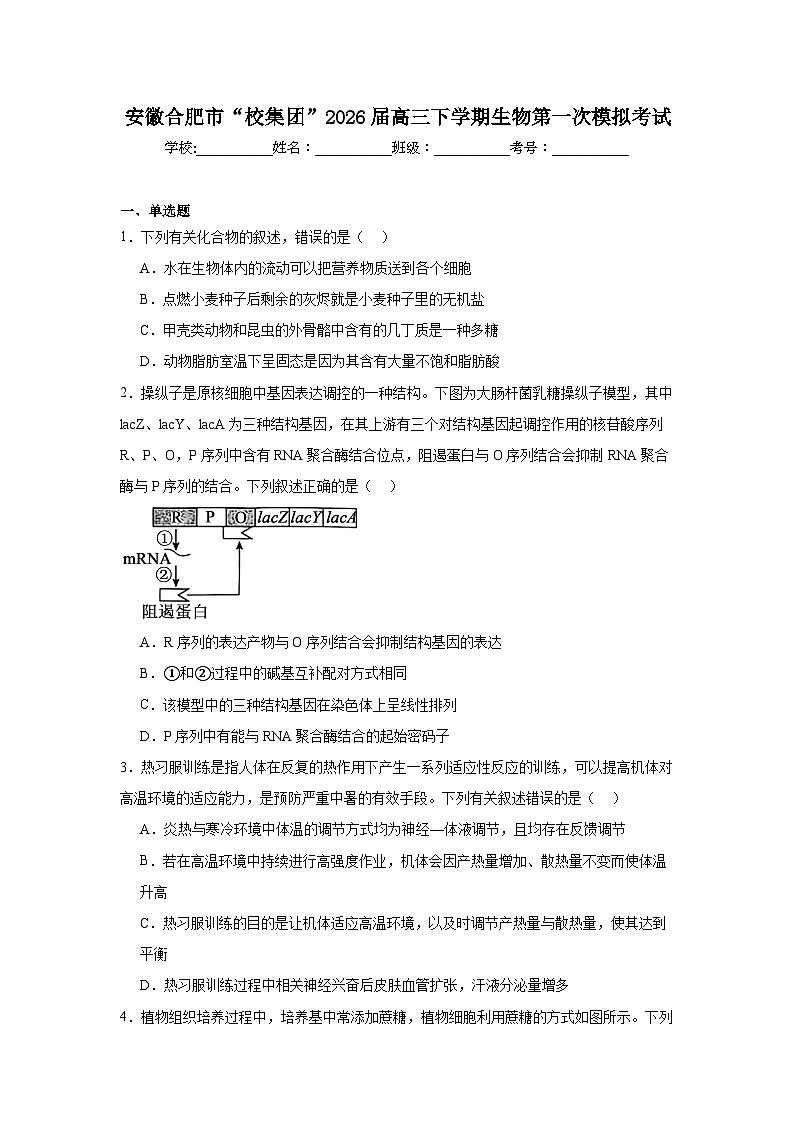 2026年安徽合肥市“校集团”高三下学期生物第一次模拟考试试卷（附答案解析）第1页