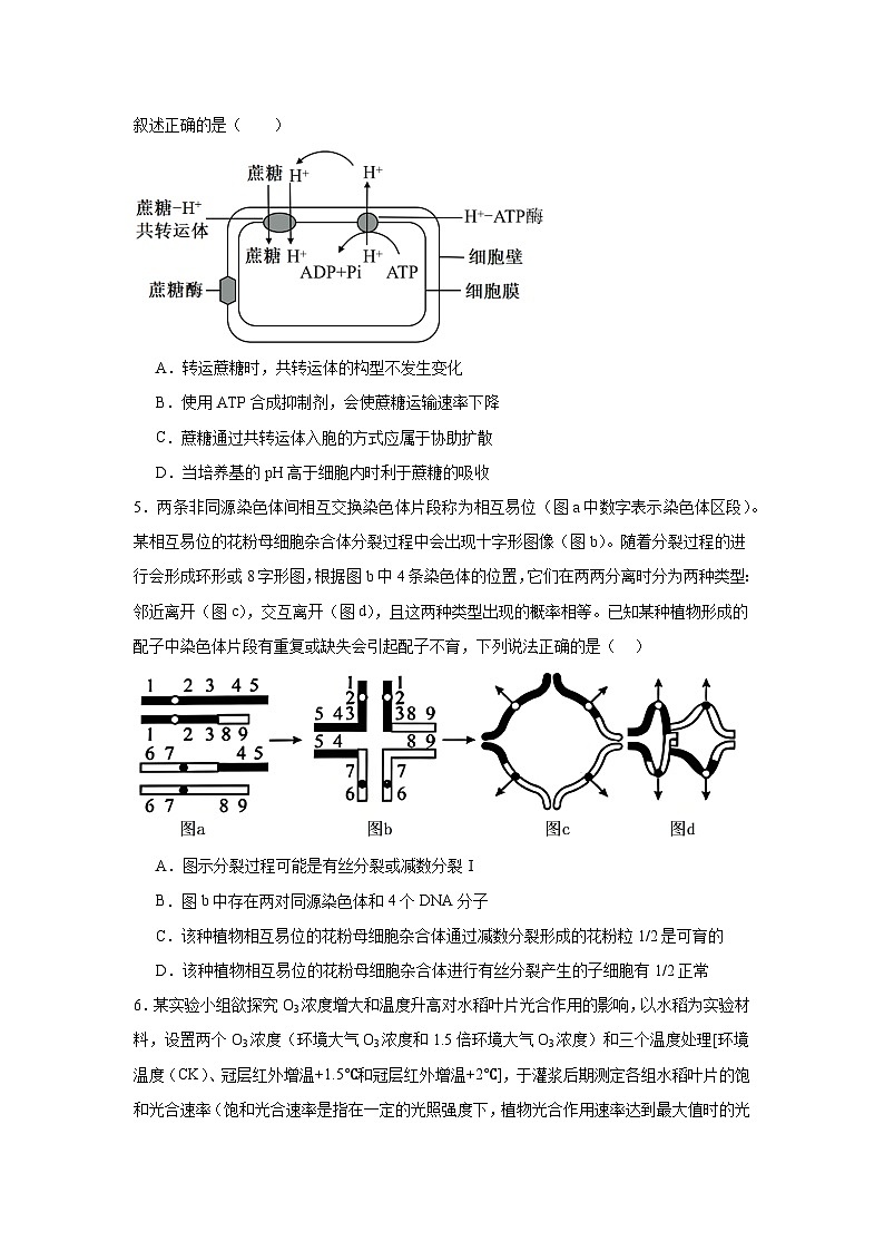 2026年安徽合肥市“校集团”高三下学期生物第一次模拟考试试卷（附答案解析）第2页