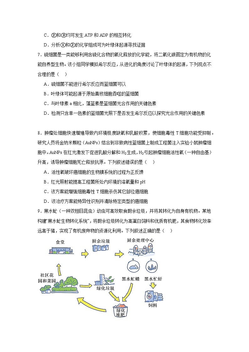 2026年福建省泉州市高三一模考试生物试题（附答案解析）第3页