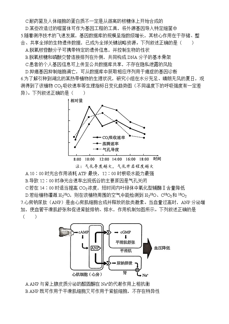 湖北黄冈市2026届下学期高三二模 生物试题+答案第2页