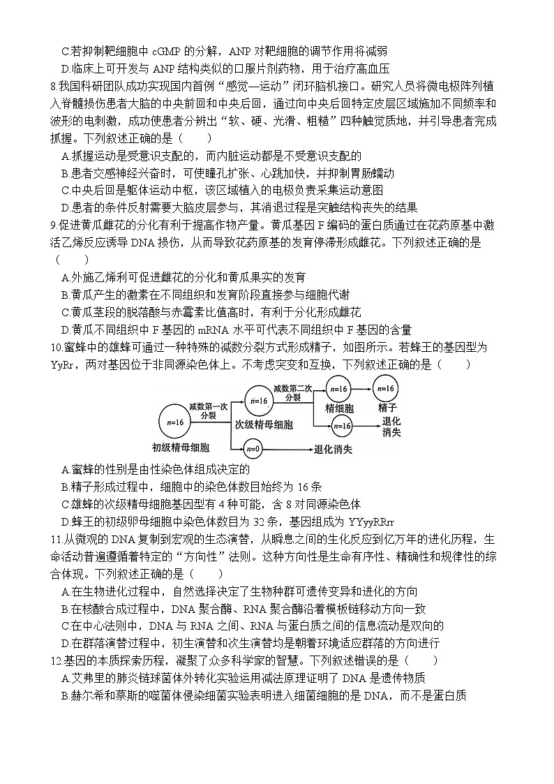 湖北黄冈市2026届下学期高三二模 生物试题+答案第3页