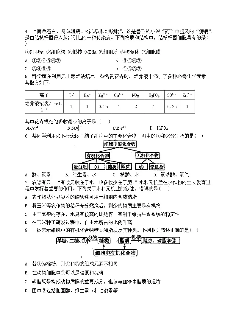 江西省临川第一中学2024-2025学年高一上学期期中考试生物试题第2页