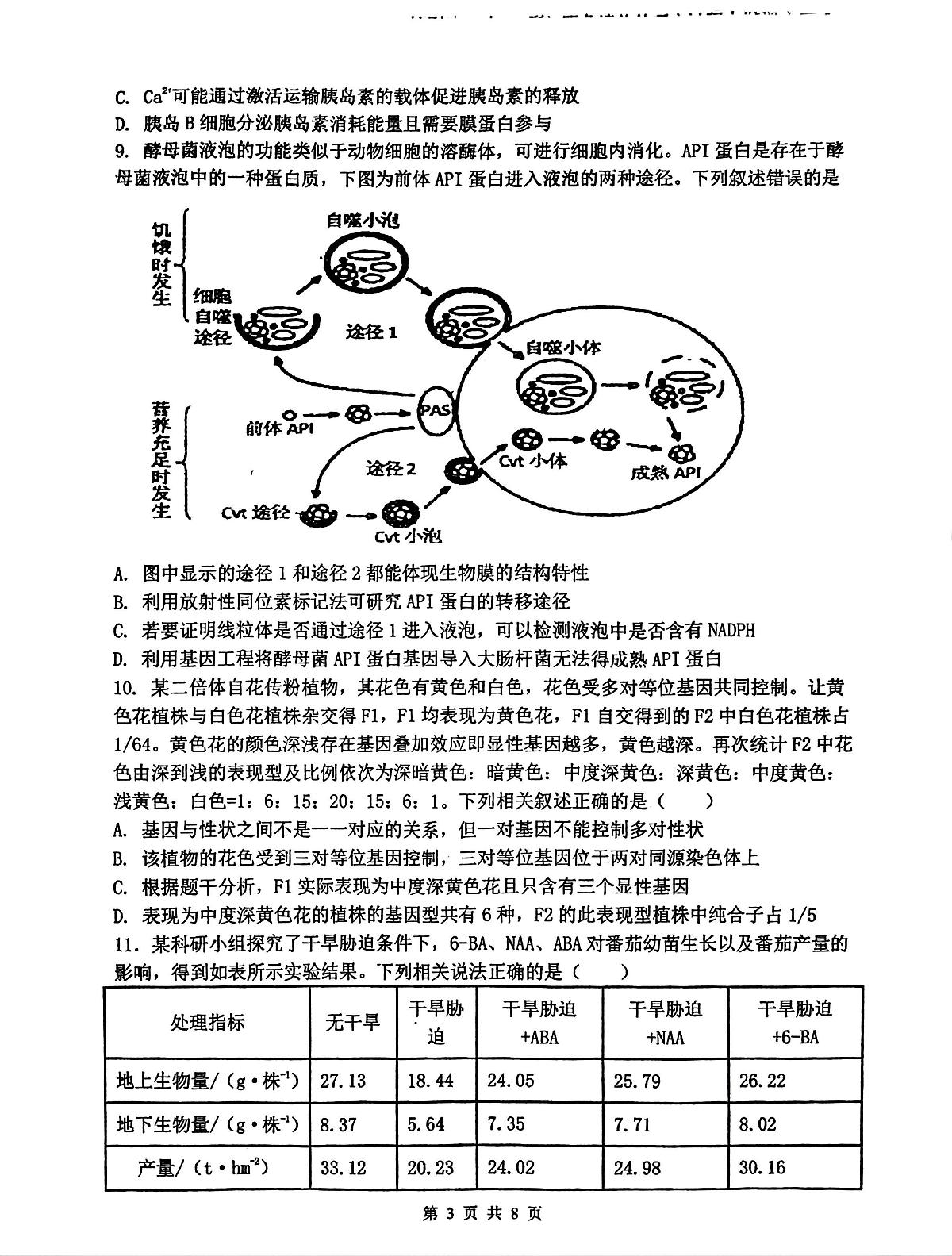 江西省南昌市第十中学2024—2025学年高三上学期期末考试生物试题第3页
