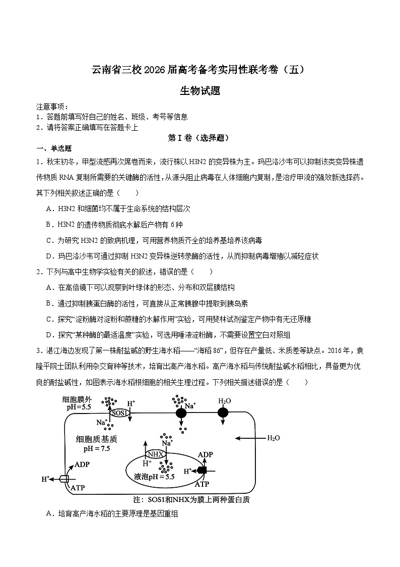 云南省三校2026届高三上学期高考备考实用性联考卷（五）生物 Word版含答案第1页