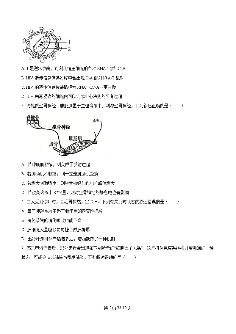黑龙江省实验中学2026届下学期高三联合模拟考试生物试题 Word版无答案第2页