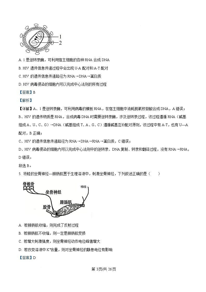 黑龙江省实验中学2026届下学期高三联合模拟考试生物试题 Word版含解析第3页