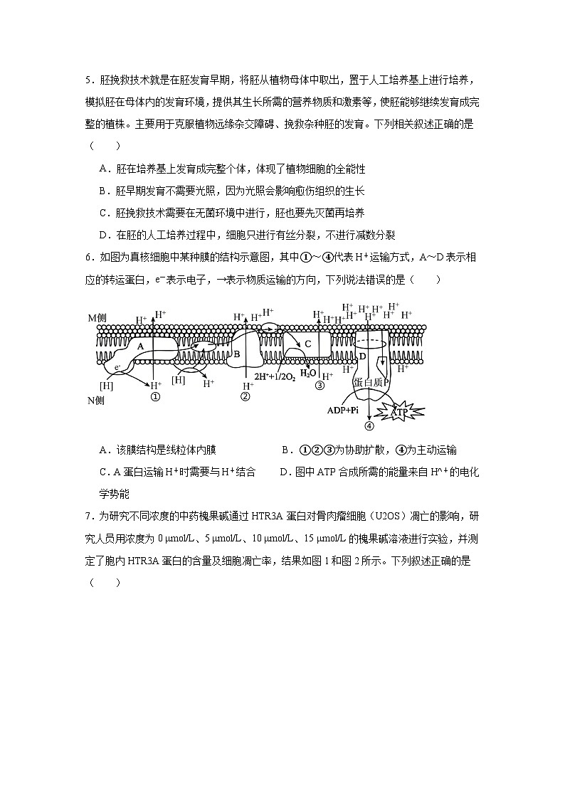 2026年黑龙江齐齐哈尔市高三下学期一模考试生物试卷（无答案）第2页