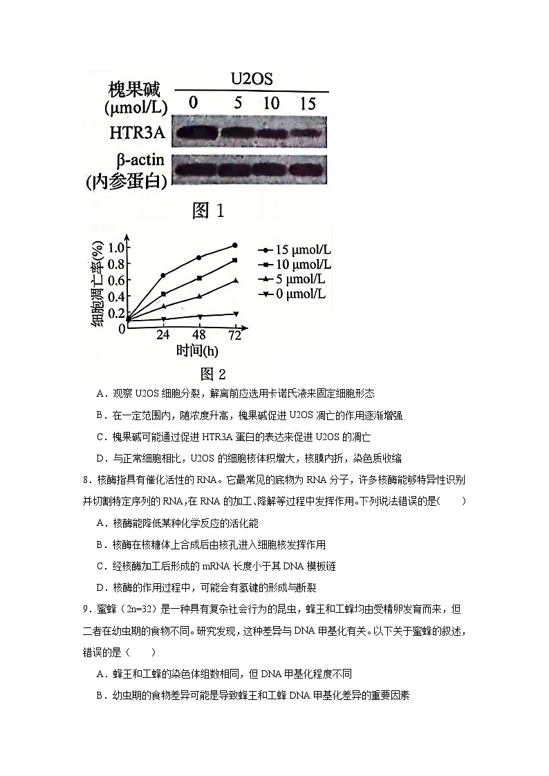 2026年黑龙江齐齐哈尔市高三下学期一模考试生物试卷（无答案）第3页