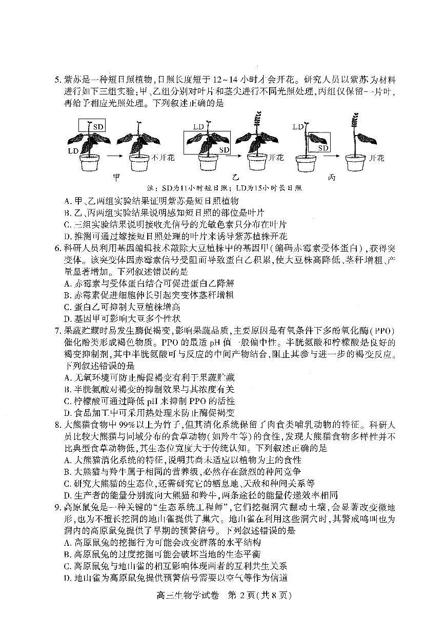 武汉市2026届高中毕业生三月调研考试 生物第2页