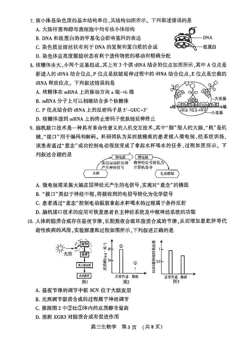 河南省洛阳市2025-2026学年下学期3月高三第三次质量检测生物试卷第3页