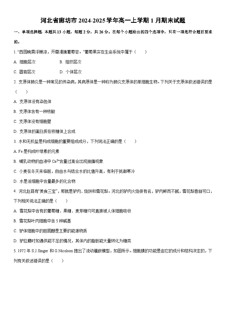 2024-2025学年河北省廊坊市高一上学期1月期末生物试卷（学生版）第1页
