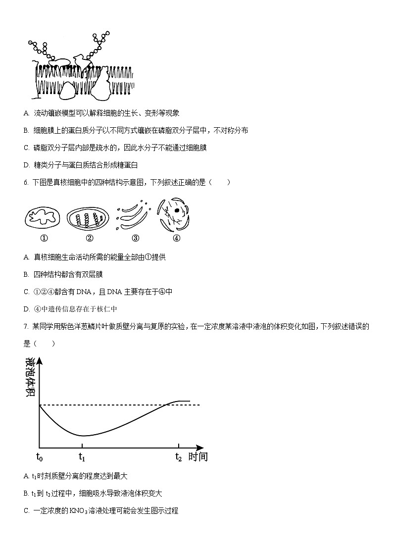 2024-2025学年河北省廊坊市高一上学期1月期末生物试卷（学生版）第2页