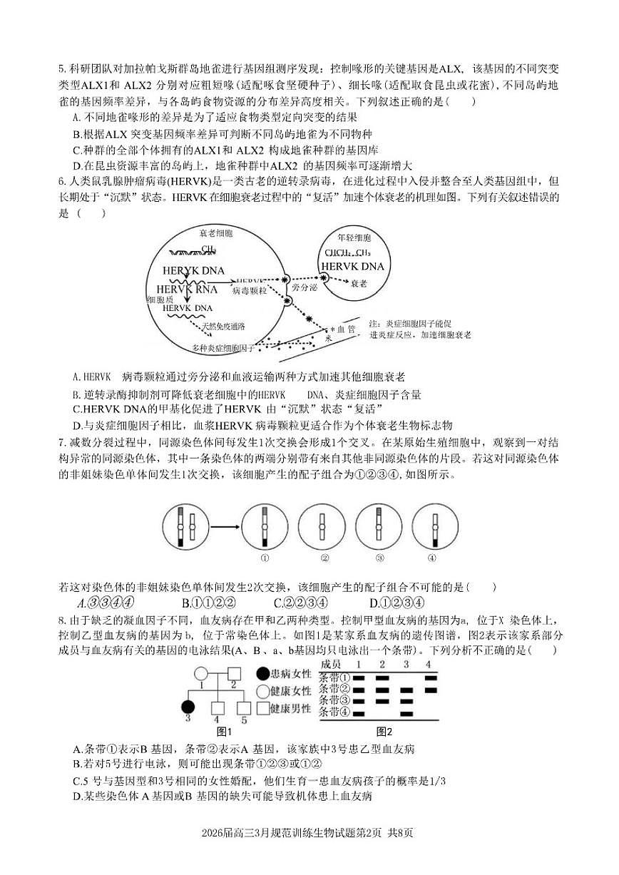 安徽省合肥市一六八中学2026年高三下3月份规范化训练生物学试卷（含答案）第2页