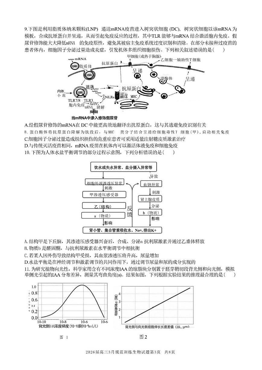 安徽省合肥市一六八中学2026年高三下3月份规范化训练生物学试卷（含答案）第3页
