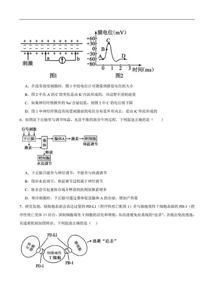 2025-2026学年云南省保山市昌宁县第一中学高二上学期期末考试生物试卷（含答案）第2页
