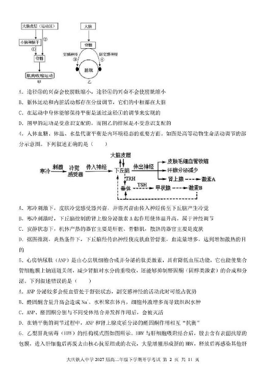 2025-2026学年黑龙江省大庆铁人中学高二下学期开学考试生物试题（含答案）第2页