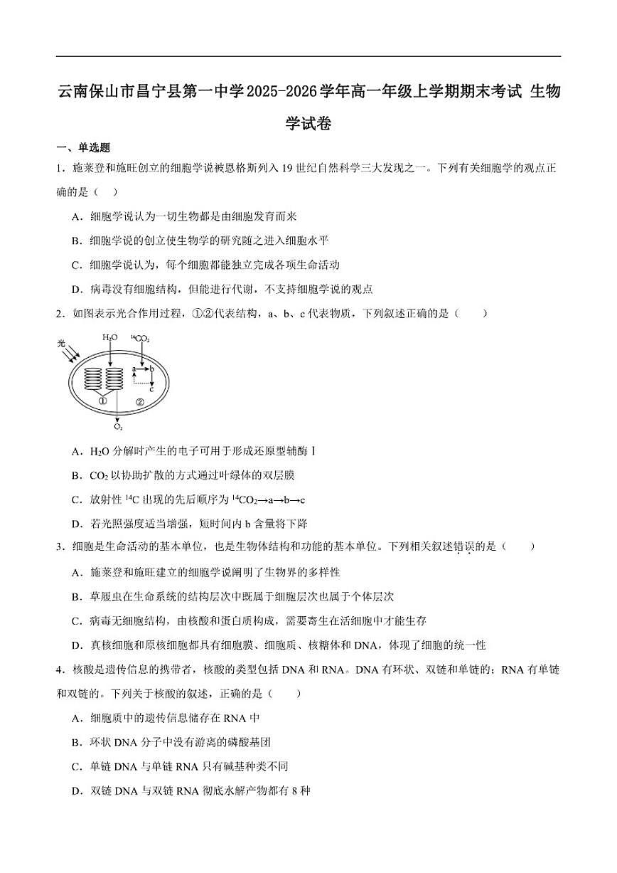 2025-2026学年云南省保山市昌宁县第一中学高一上学期期末考试生物试卷（含答案）第1页