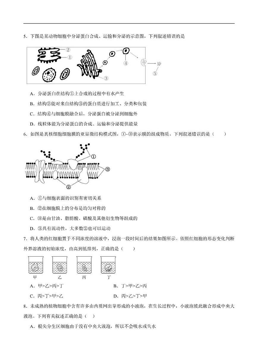2025-2026学年云南省保山市昌宁县第一中学高一上学期期末考试生物试卷（含答案）第2页