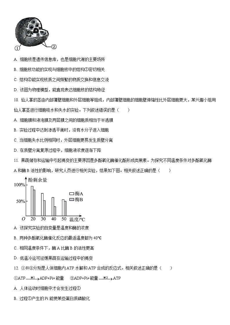 2025-2026学年贵州省贵阳市普通中学高一上学期期末监测生物试卷（学生版）第3页