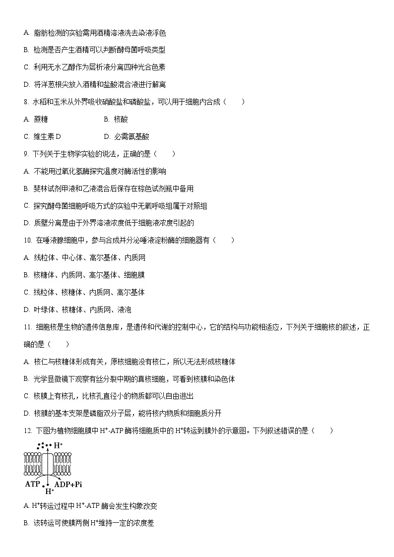 2025-2026学年甘肃省天水市麦积区天水市第二中学高一上学期期末生物试卷（学生版）第2页