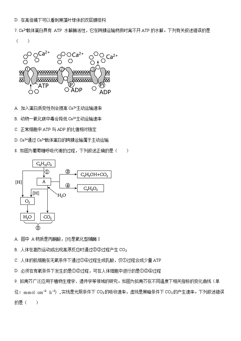 2025-2026学年湖南省高一上学期期末生物试卷（学生版）第2页