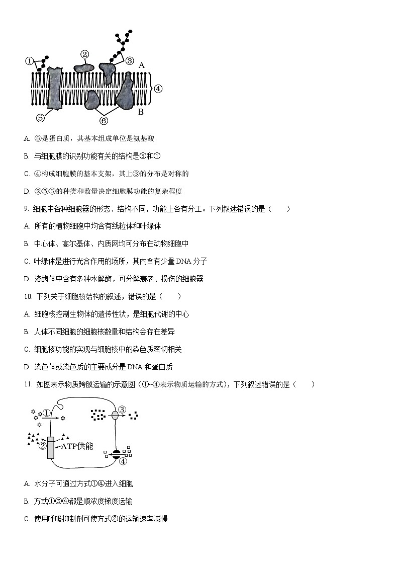 2025-2026学年河南省南阳高一上学期期末素质评价生物试卷（学生版）第3页
