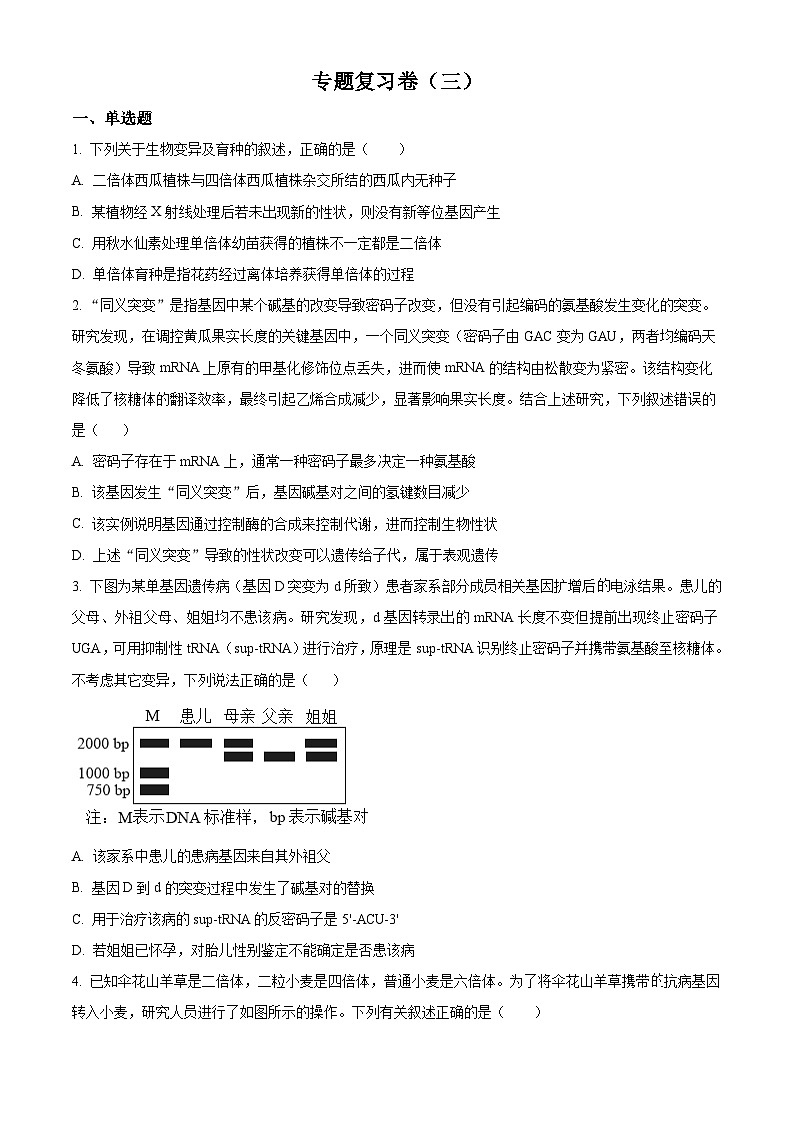 四川省成都市第七中学2025—2026学年高三下学期周测生物试题（三）（原卷版）第1页