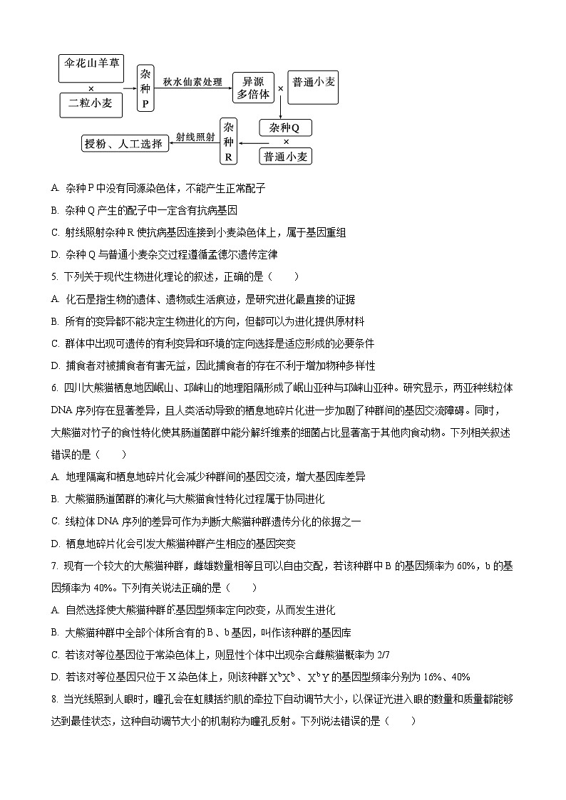 四川省成都市第七中学2025—2026学年高三下学期周测生物试题（三）（原卷版）第2页