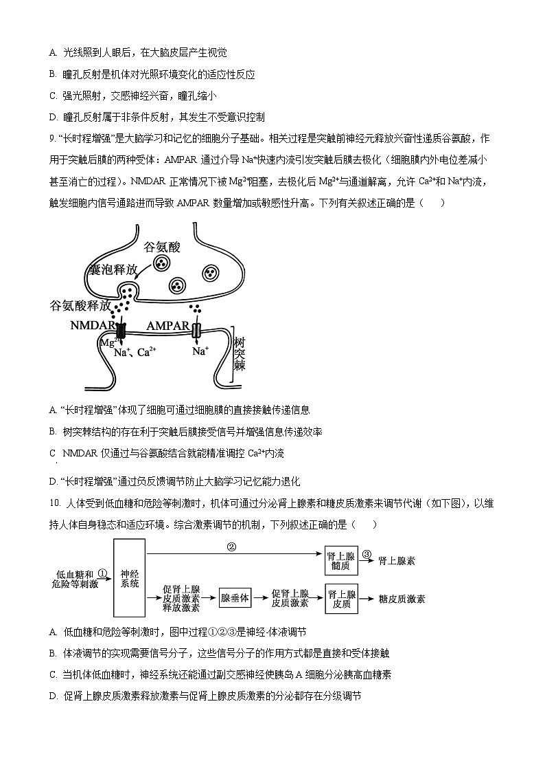 四川省成都市第七中学2025—2026学年高三下学期周测生物试题（三）（原卷版）第3页