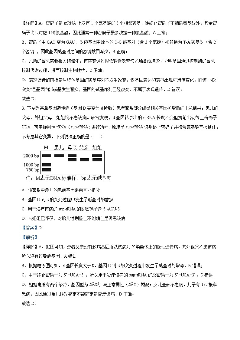 四川省成都市第七中学2025—2026学年高三下学期周测生物试题（三） Word版含解析第2页