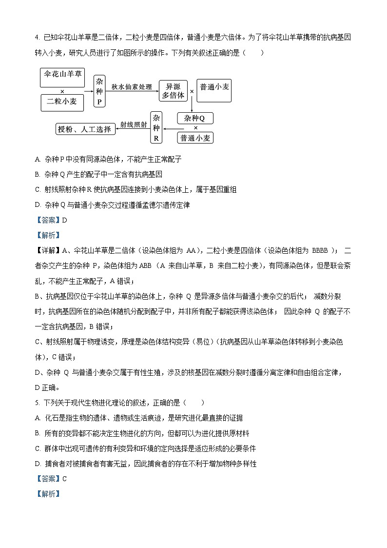 四川省成都市第七中学2025—2026学年高三下学期周测生物试题（三） Word版含解析第3页