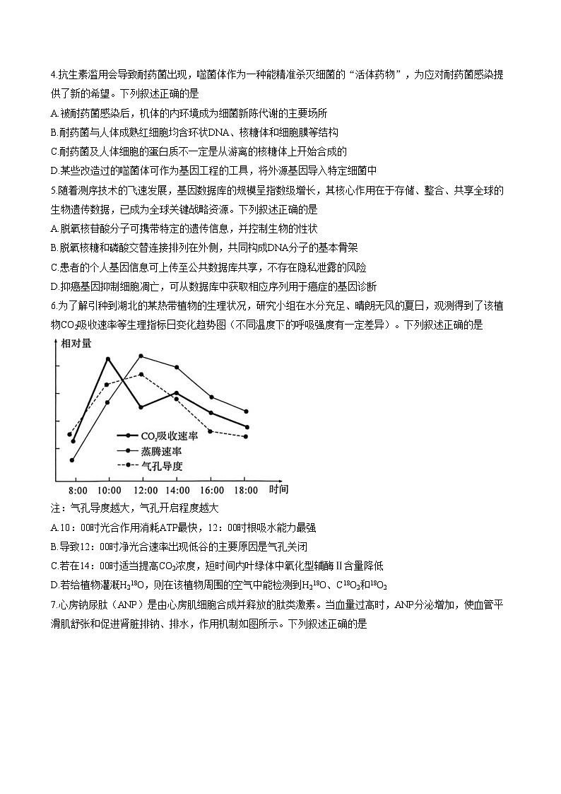 湖北省黄冈市2025—2026学年高三下学期3月考试生物试题（文字版，含答案）第2页